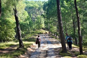 Champadevi hiking route